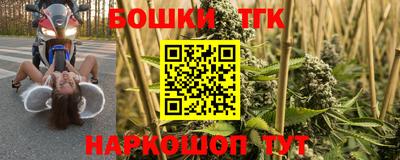 гидропоника Гусиноозёрск