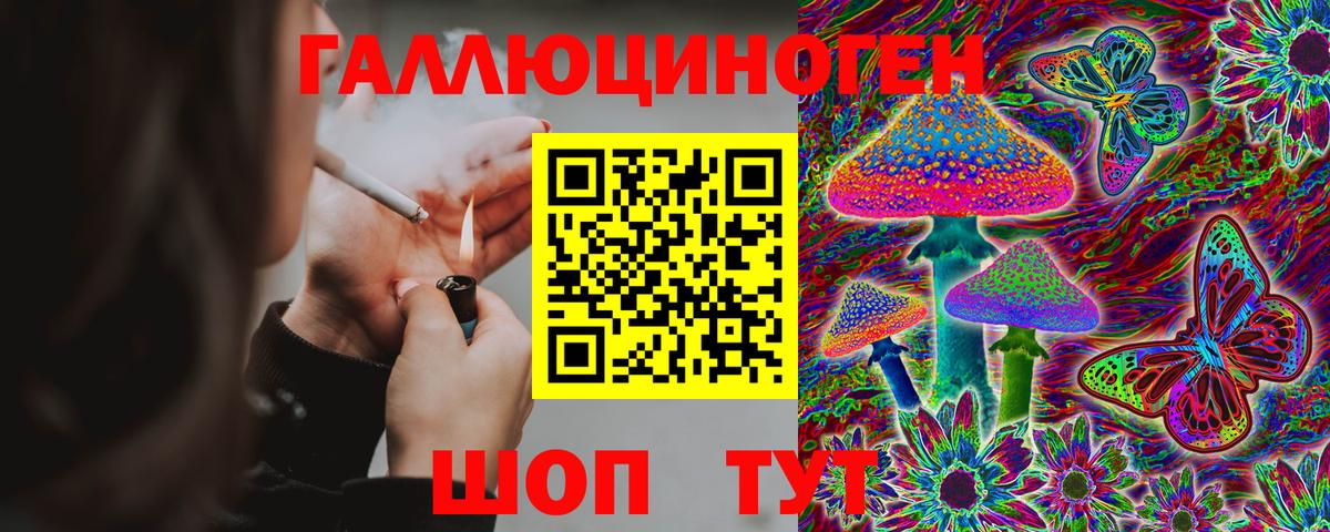 Галлюциногенные грибы Psilocybe Междуреченск