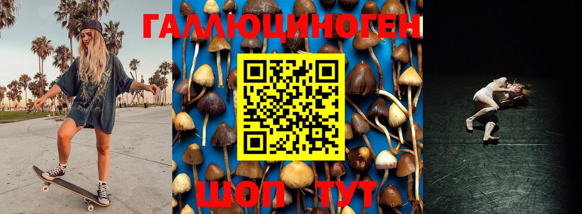 Галлюциногенные грибы Cubensis  Вход с VPN  Галлюциногенные грибы Magic Shrooms  наркота  Междуреченск 